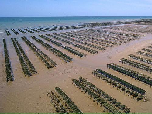 Les Pommiers Duplex Cosy Tout Confort Dans Maison Neuve Avec Terrasse Entree Independante 5 Mn De Bayeux Et 10 Mn Plage Du Debarquement Sommervieu Buitenkant foto