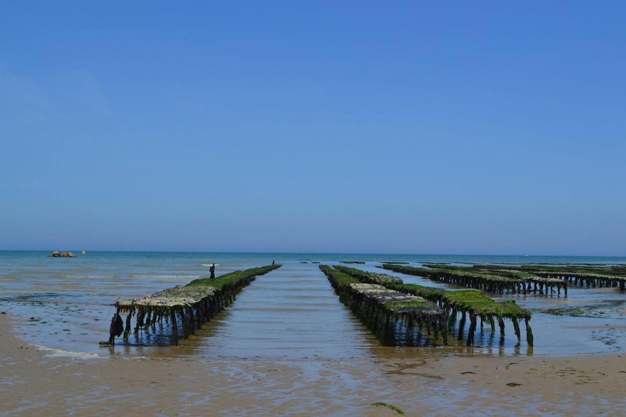 Les Pommiers Duplex Cosy Tout Confort Dans Maison Neuve Avec Terrasse Entree Independante 5 Mn De Bayeux Et 10 Mn Plage Du Debarquement Sommervieu Buitenkant foto